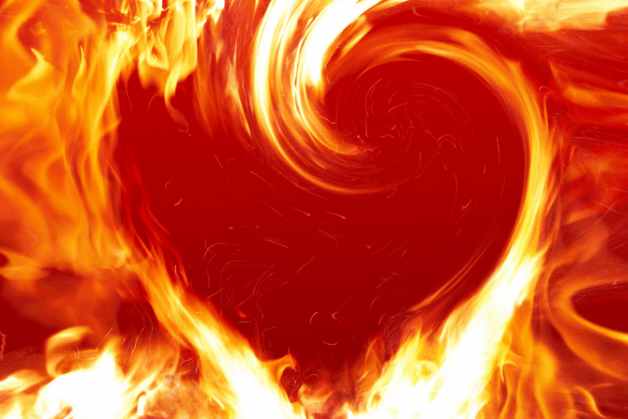 rise of FAFO parenting